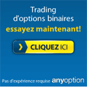 Cliquez ici pour visiter le site
